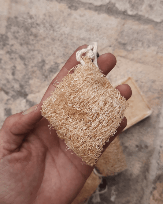 Invest in our Targeted Mini Dry Brush - Lebanon - Glowrious