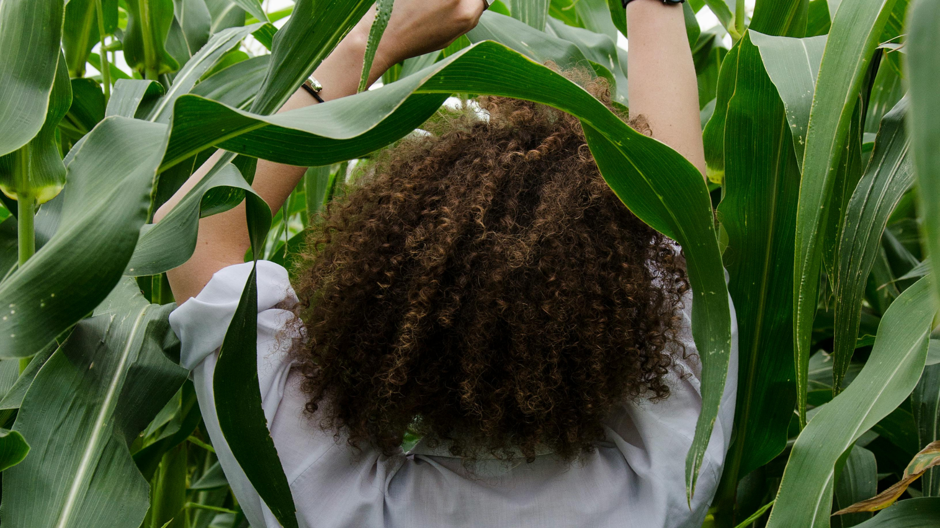 Organic curly hair products - Lebanon - Glowrious