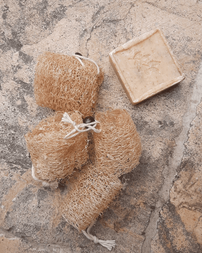 Invest in our Targeted Mini Dry Brush - Lebanon - Glowrious