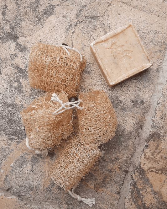 Invest in our Targeted Mini Dry Brush - Lebanon - Glowrious
